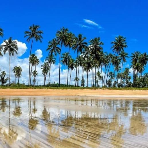 São Miguel dos Milagres Casa Sol Nascenteヴィラ エクステリア 写真